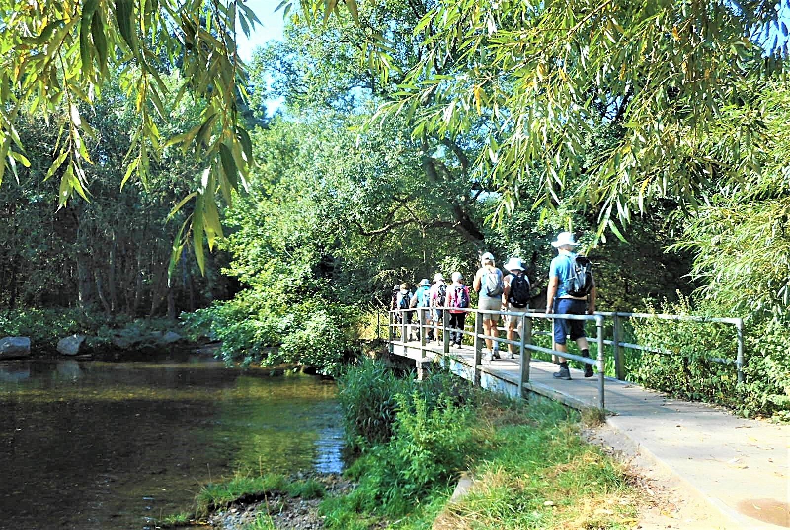 The bridge, Elkesley